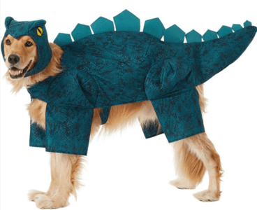 Costume for hotsell large dog